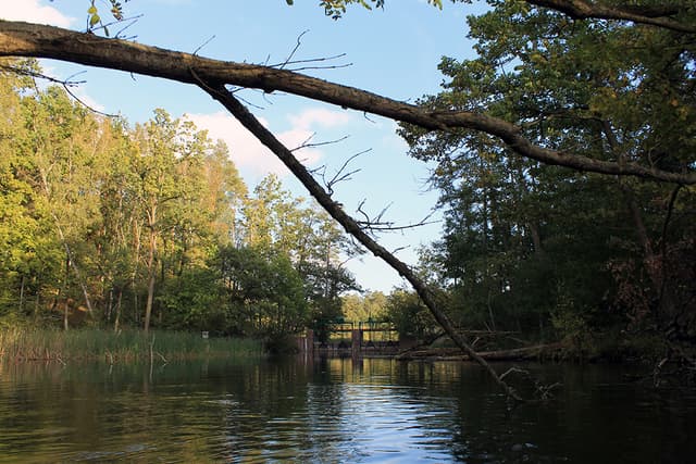 Spływy Jednodniowe - Spychowo - Krutyń