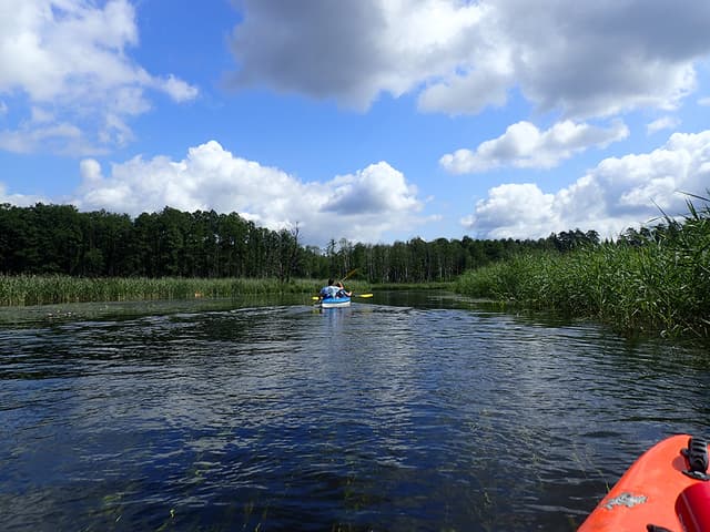 Spływy Jednodniowe - Ukta - Iznota