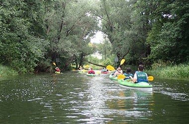 Spływy Jednodniowe - Krutyń - Iznota