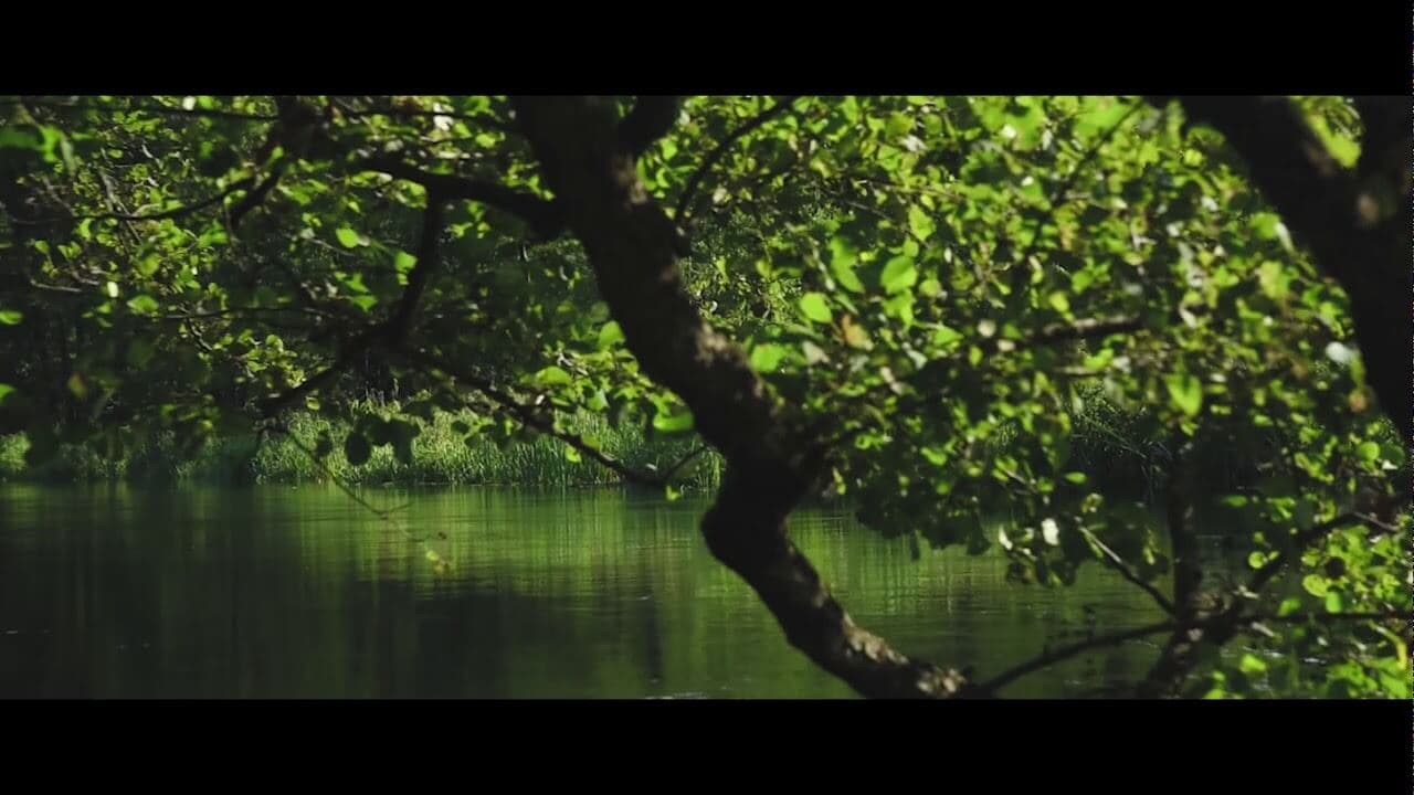 Splywy.pl - kajaki krutyń