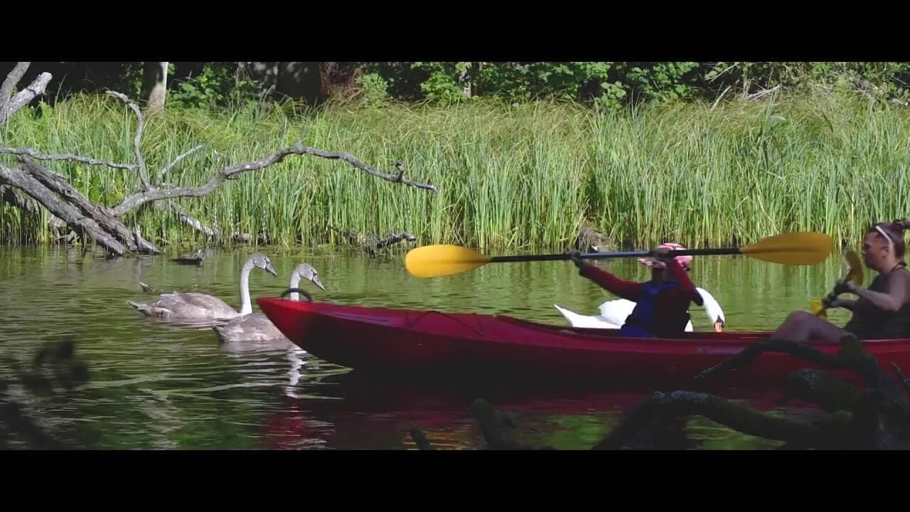 Splywy.pl - kajaki krutyń