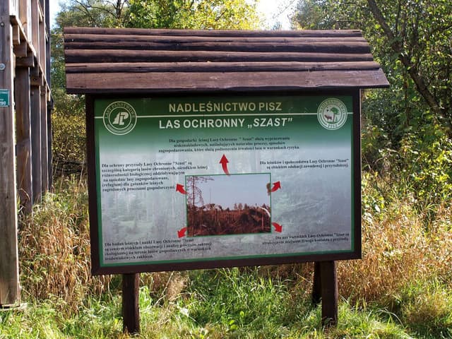 Las Ochronny Szast - Splywy.pl