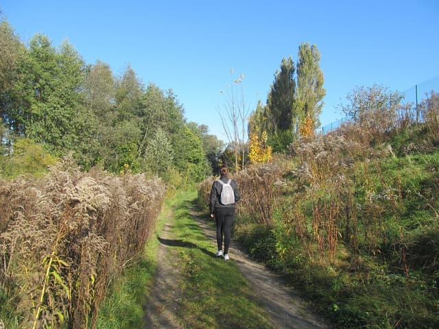 Szlak pieszy Szestno - Splywy.pl