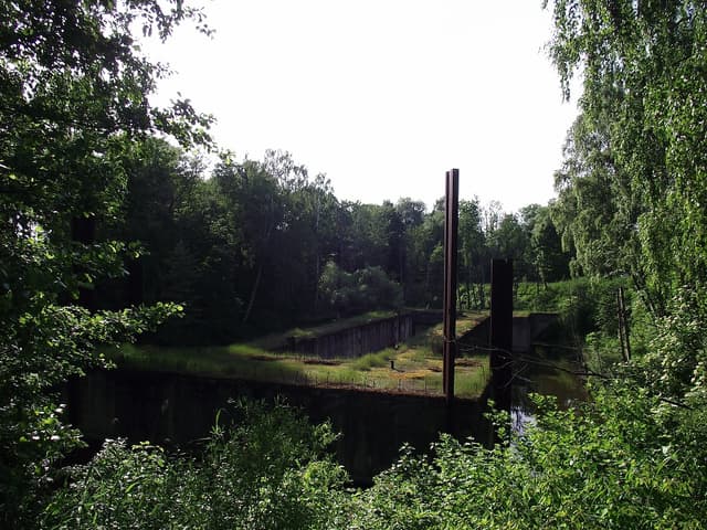 Mamerki - Splywy.pl