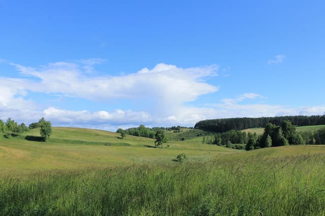 Szlak pieszy im. Melchiora Wańkowicza - Splywy.pl
