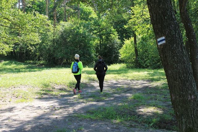 Szlak pieszy im. Melchiora Wańkowicza - Splywy.pl