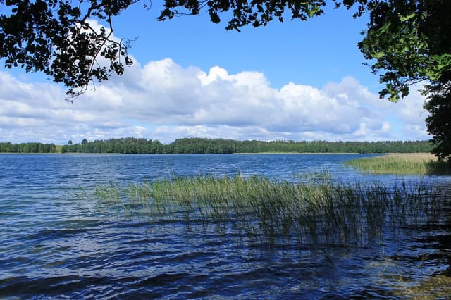 Szlak pieszy im. Melchiora Wańkowicza - Splywy.pl