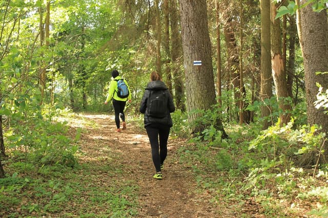 Szlak pieszy im. Melchiora Wańkowicza - Splywy.pl