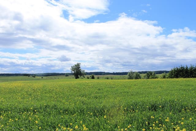 Szlak pieszy im. Melchiora Wańkowicza - Splywy.pl