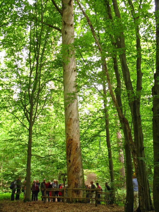 Szlak pieszy im. Melchiora Wańkowicza - Splywy.pl
