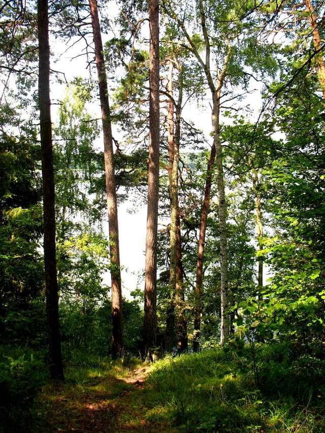 Wieś Krzyże - Splywy.pl