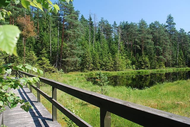 Wigierski Park Narodowy - Splywy.pl