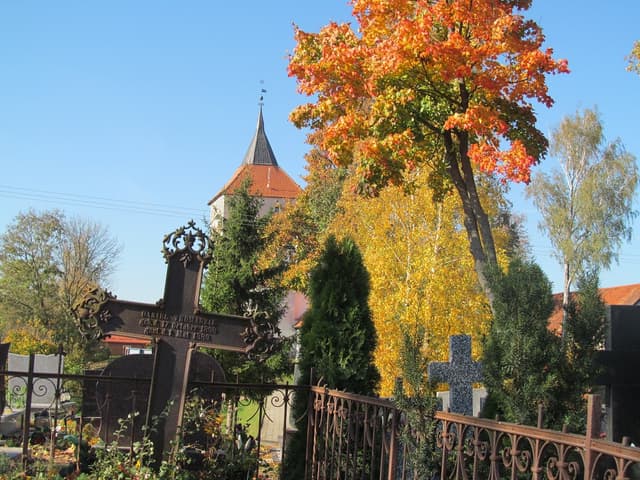 Szlak pieszy Szestno - Splywy.pl