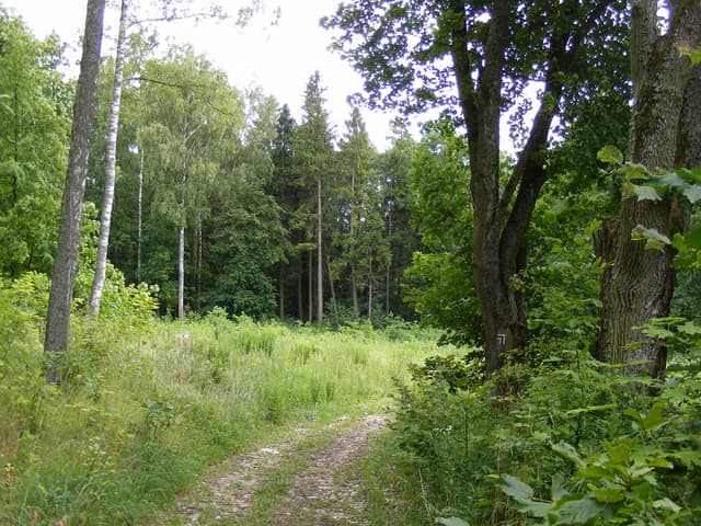Szlak pieszy Szestno - Splywy.pl