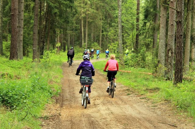 Krutyński Szlak Rowerowy - Splywy.pl