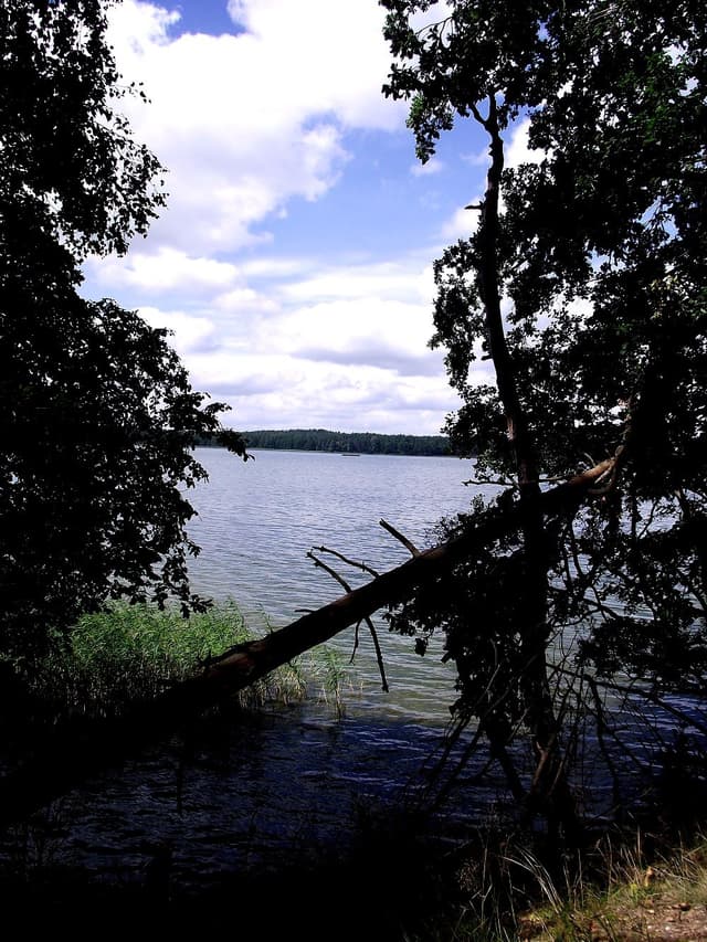 Puszcza Piska - Splywy.pl