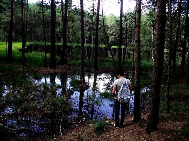 Puszcza Piska - Splywy.pl