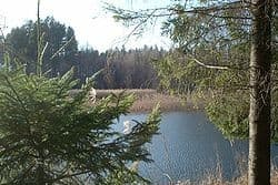 Puszcza Augustowska - Splywy.pl