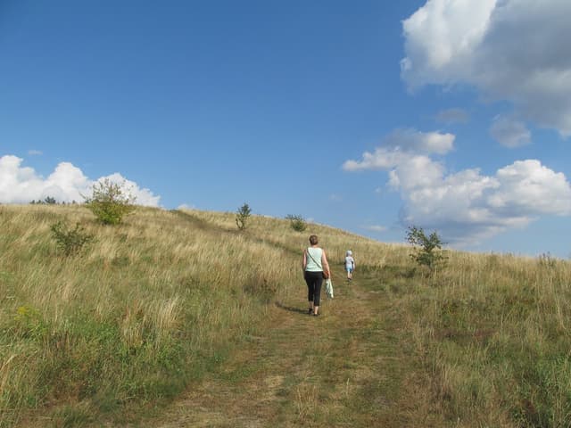 Góra Czterech Wiatrów - Splywy.pl