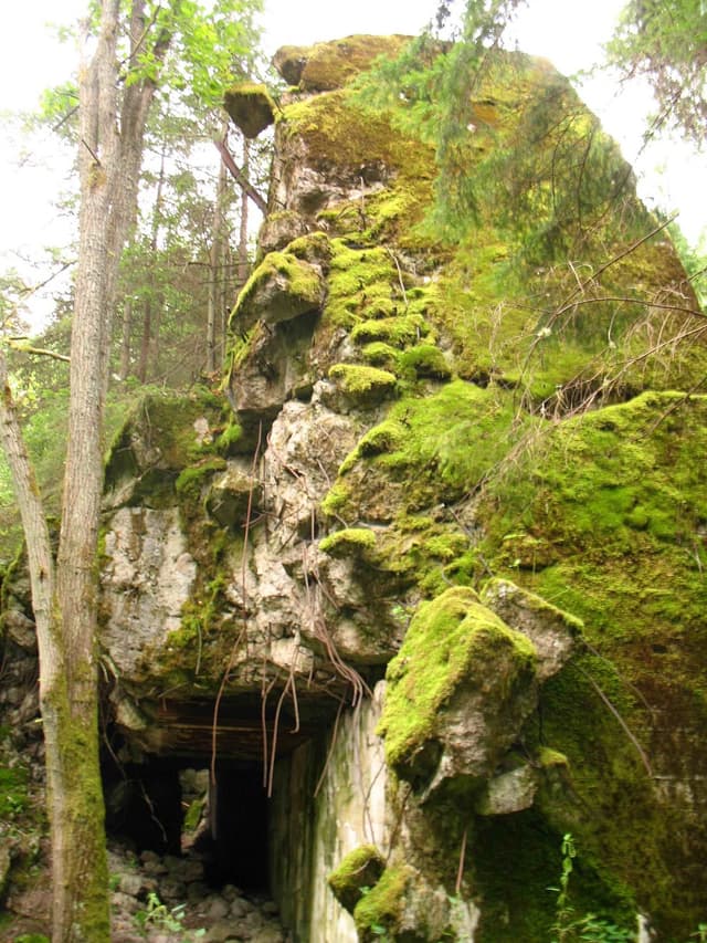 Wilczy Szaniec - Splywy.pl