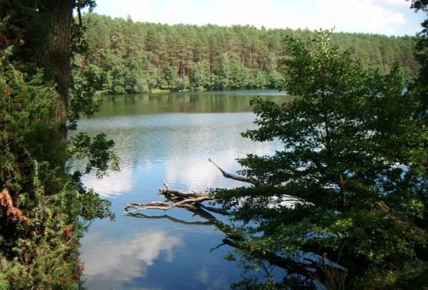 Jezioro Płęsno - Splywy.pl