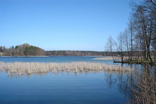 Jezioro Studzieniczne - Splywy.pl