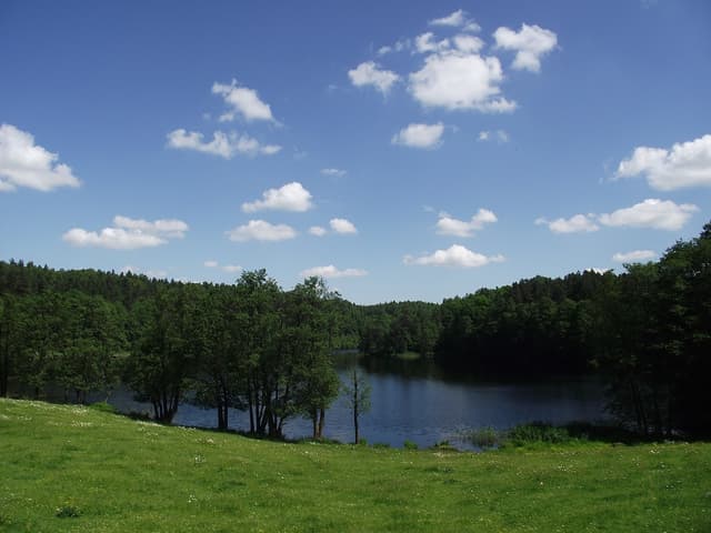 Szlak rowerowy Lasy Sorkwickie - Splywy.pl