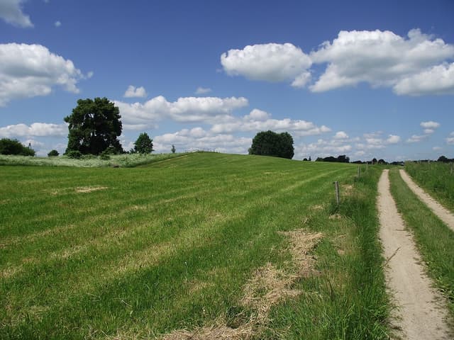 Szlak rowerowy Lasy Sorkwickie - Splywy.pl