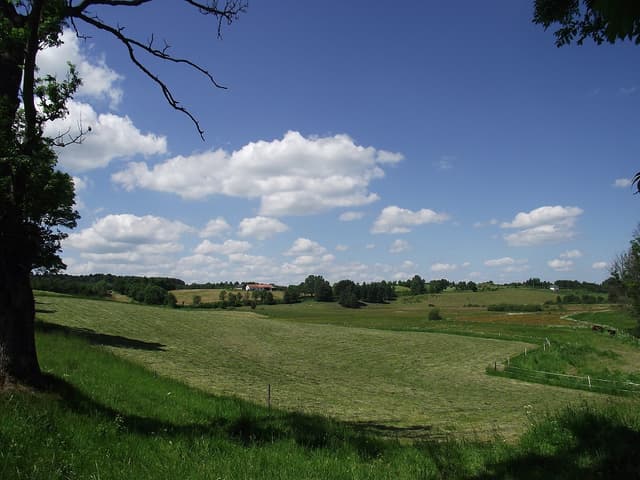 Szlak rowerowy Lasy Sorkwickie - Splywy.pl