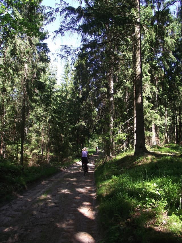 Szlak rowerowy Lasy Sorkwickie - Splywy.pl