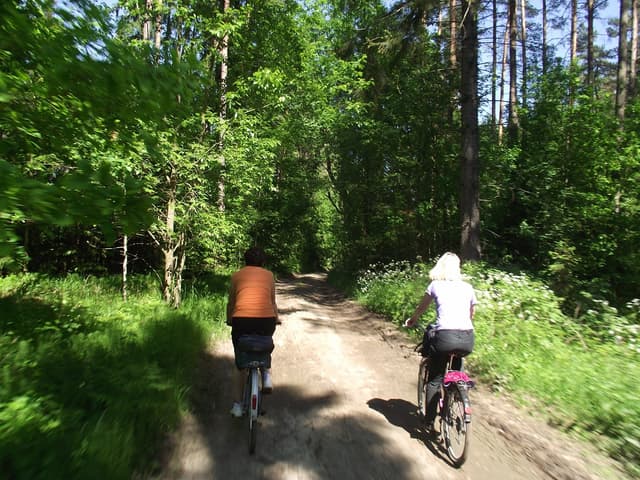 Szlak rowerowy Lasy Sorkwickie - Splywy.pl