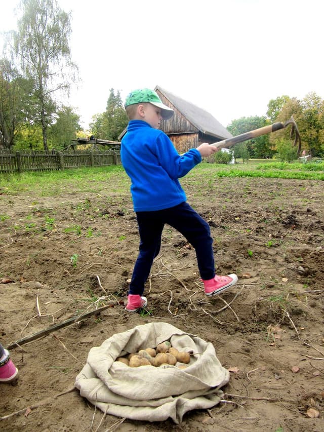 Muzeum Budownictwa Ludowego w Olsztynku - Splywy.pl