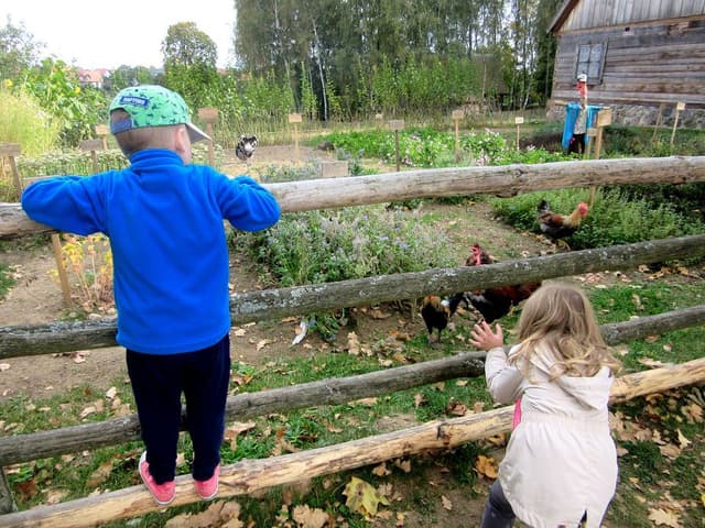 Muzeum Budownictwa Ludowego w Olsztynku - Splywy.pl