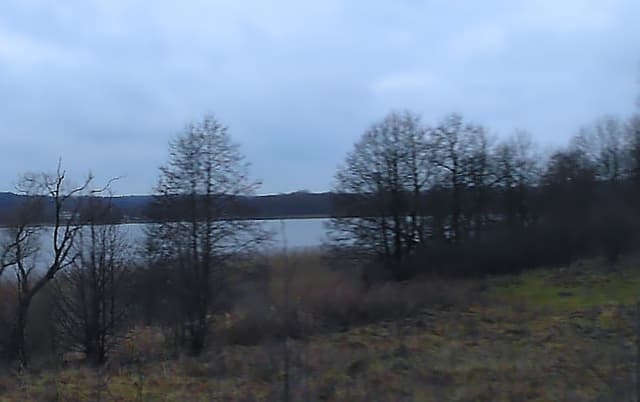 Jezioro Wigry - Splywy.pl