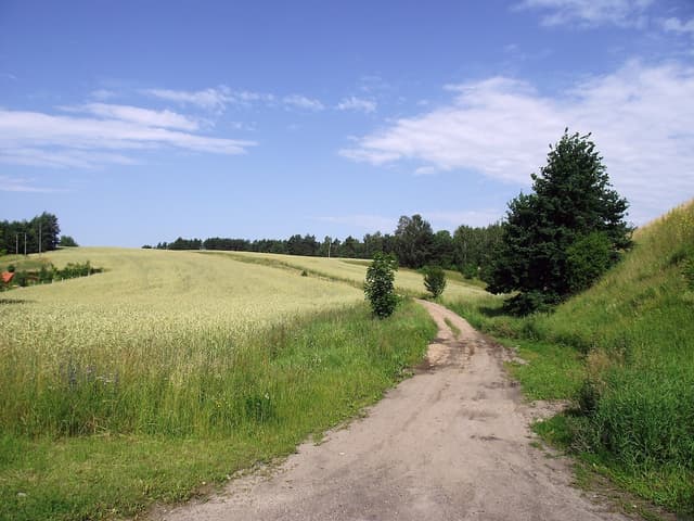 Szlak rowerowy Ernsta Wiecherta - Splywy.pl