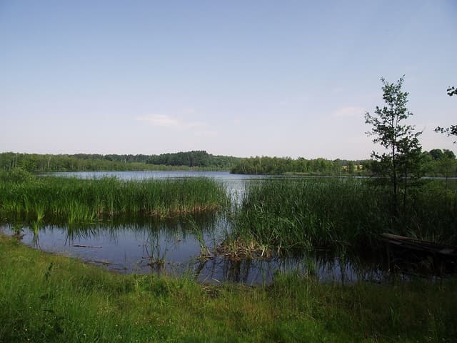 Szlak rowerowy Ernsta Wiecherta - Splywy.pl