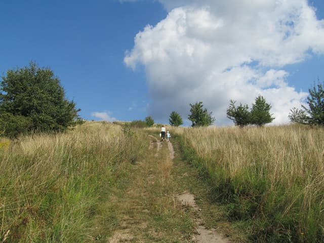 Szlak pieszy Góra Czterech Wiatrów - Splywy.pl