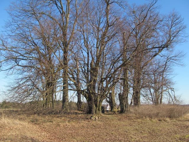 Dwór w Jełmuniu - Splywy.pl