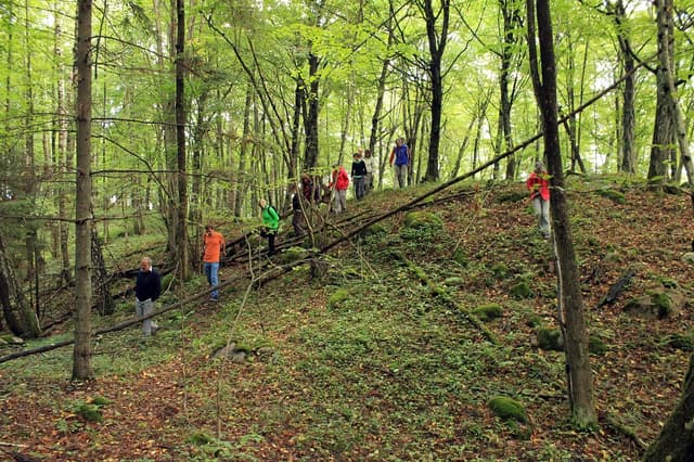 Głazowisko koło Wojnowa - Splywy.pl