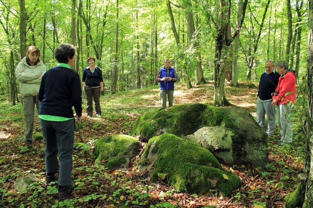 Głazowisko koło Wojnowa - Splywy.pl