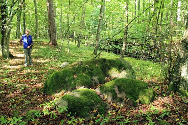 Głazowisko koło Wojnowa - Splywy.pl