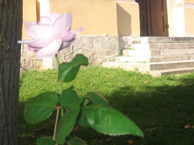 Orneta - Splywy.pl