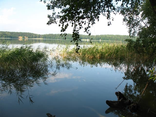Rowerowy Szlak Pętla Nidzka - Splywy.pl