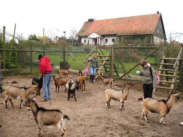 Rowerowy Szlak Pętla Wojnowska - Splywy.pl