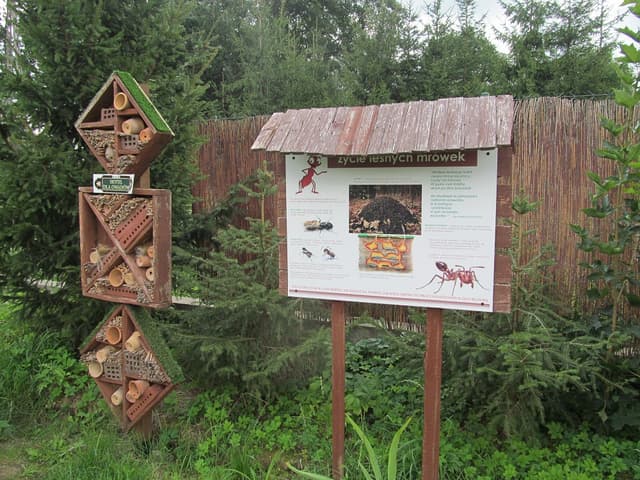 Ogrody Pokazowe i Motylarnia - Splywy.pl