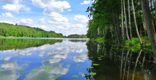 Jezioro Bolesty - Splywy.pl