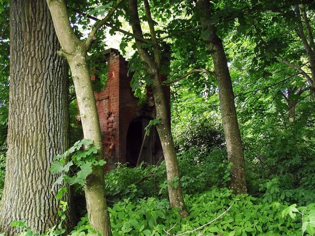 Szlak rowerowy Ernsta Wiecherta - Splywy.pl