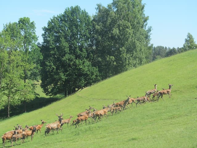 Szlak rowerowy Ernsta Wiecherta - Splywy.pl