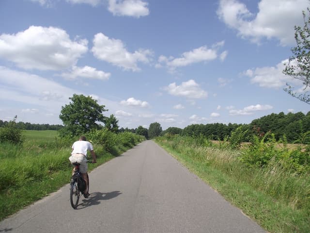 Szlak rowerowy Ernsta Wiecherta - Splywy.pl