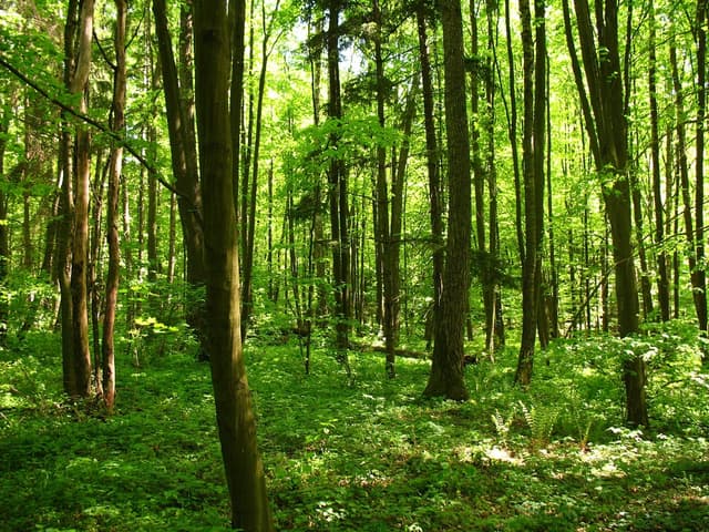 Rowerowy Szlak Pętla Nidzka - Splywy.pl